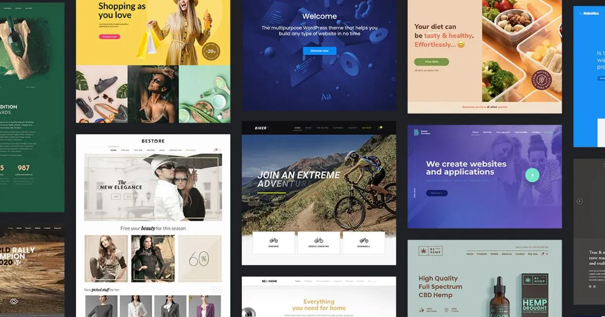 best wordpress theme 2024